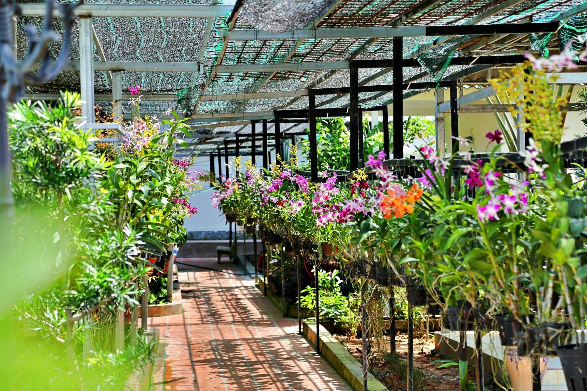 881 Lam Ha Pool Resort Phú Quốc Exterior foto
